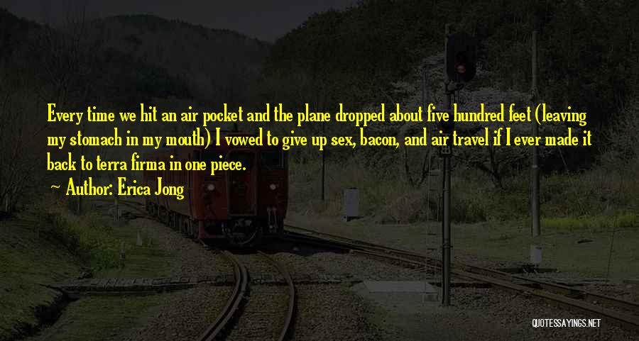 Air Travel Quotes By Erica Jong