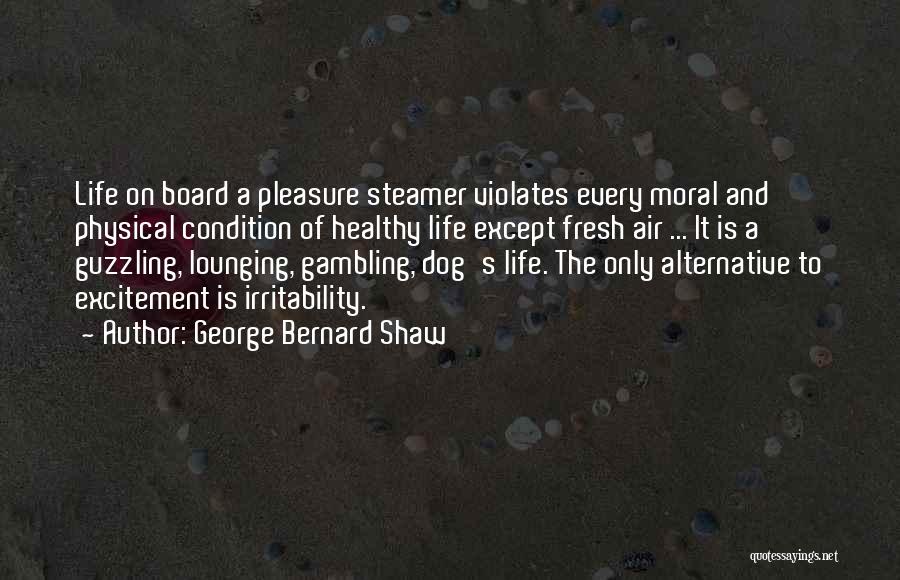 Air Travel Quotes By George Bernard Shaw