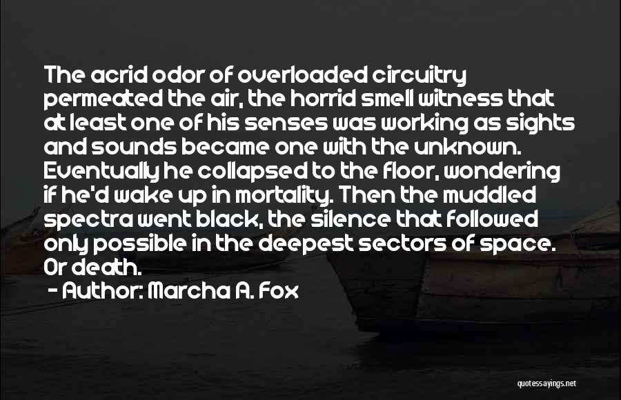 Air Travel Quotes By Marcha A. Fox