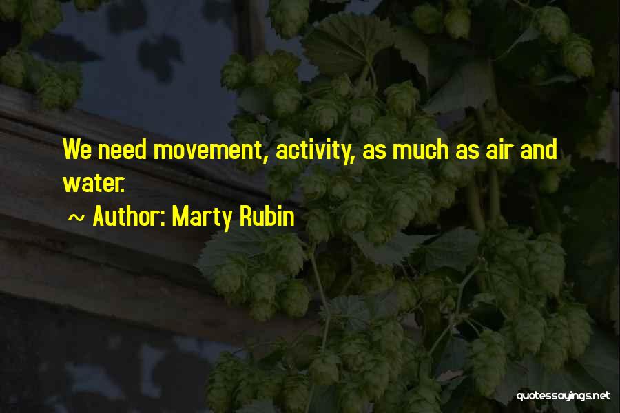 Air Travel Quotes By Marty Rubin