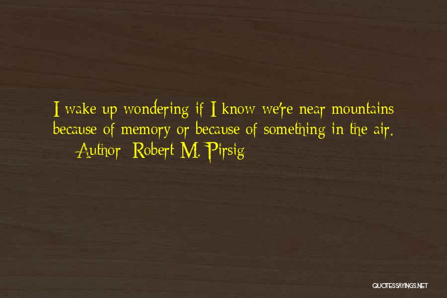 Air Travel Quotes By Robert M. Pirsig