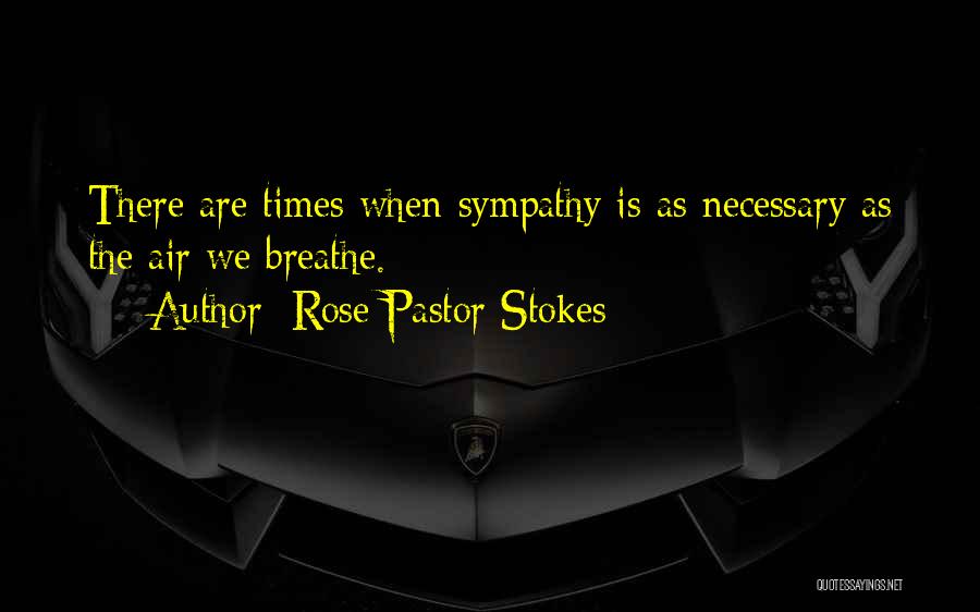 Air We Breathe Quotes By Rose Pastor Stokes