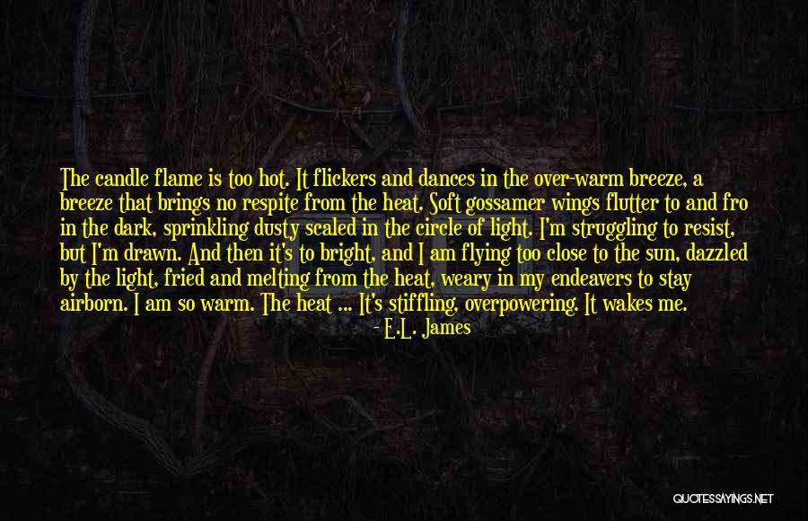 Airborn Quotes By E.L. James Airborn Quotes By E.L. James