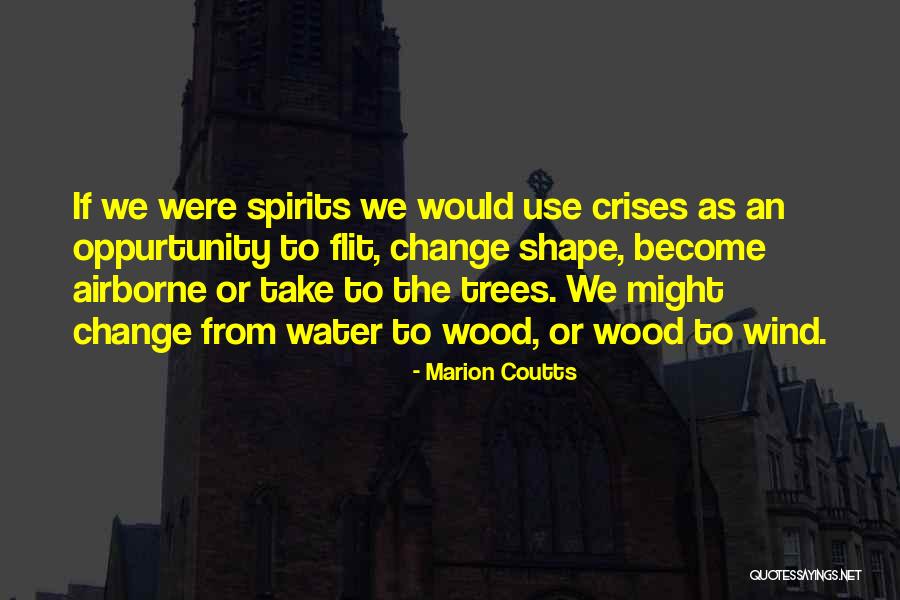 Airborne Quotes By Marion Coutts