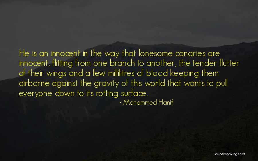Airborne Quotes By Mohammed Hanif Airborne Quotes By Mohammed Hanif