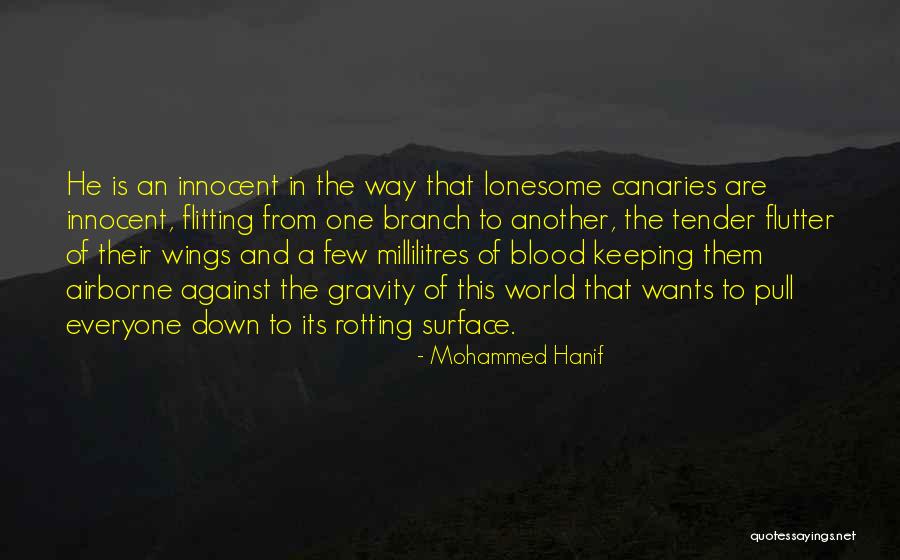 Airborne Quotes By Mohammed Hanif