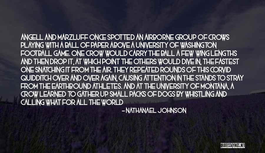 Airborne Quotes By Nathanael Johnson Airborne Quotes By Nathanael Johnson