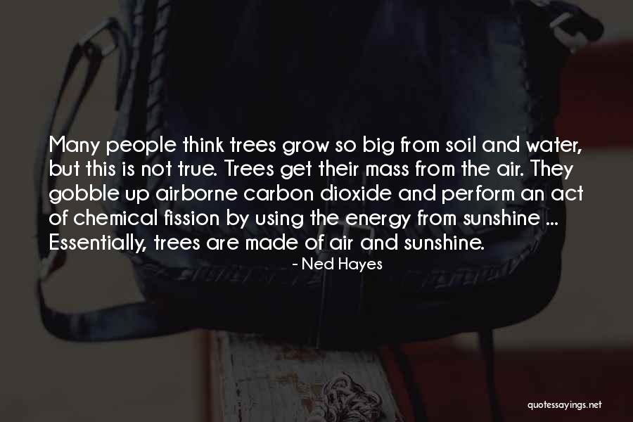Airborne Quotes By Ned Hayes Airborne Quotes By Ned Hayes