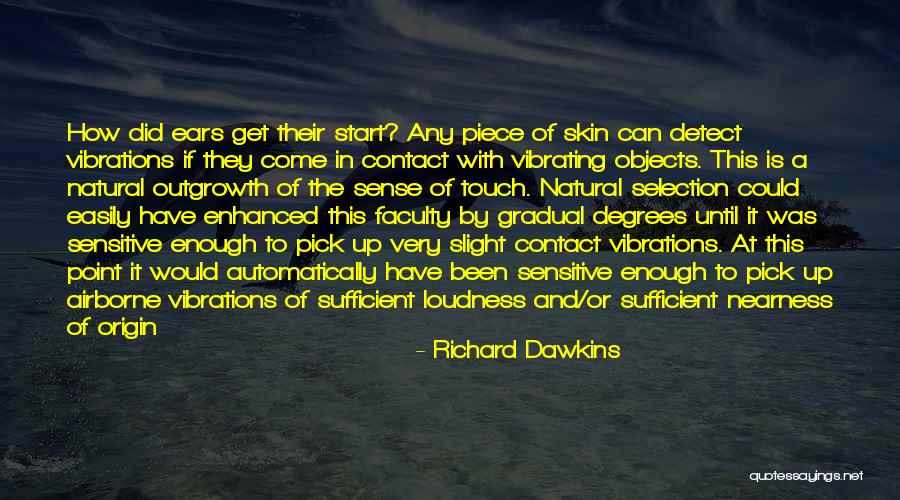 Airborne Quotes By Richard Dawkins