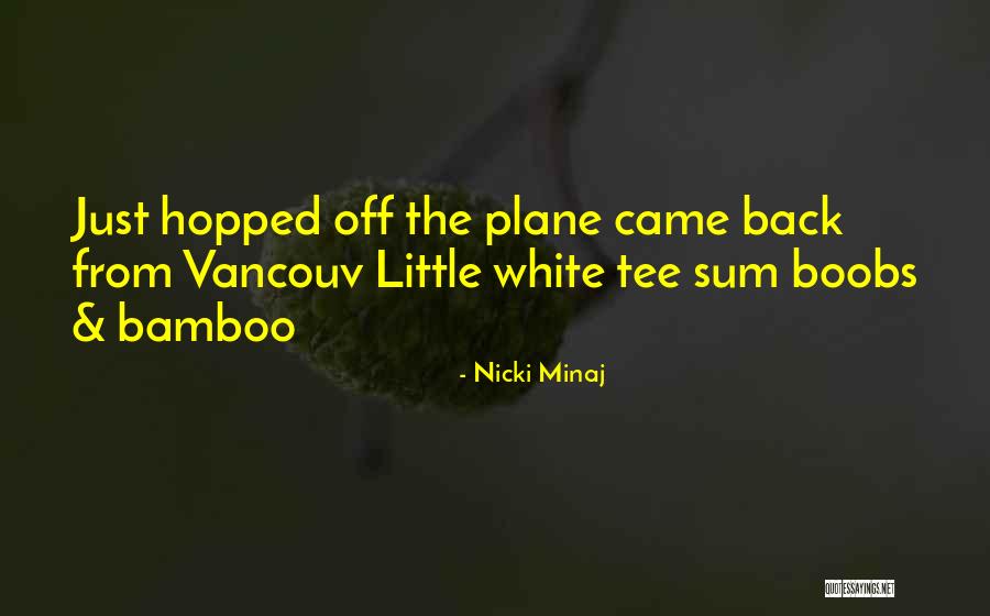 Airbrushes Paasche Quotes By Nicki Minaj Airbrushes Paasche Quotes By Nicki Minaj