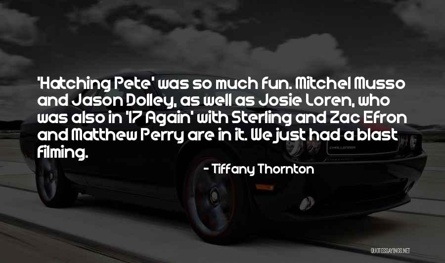Airbrushes Quotes By Tiffany Thornton Airbrushes Quotes By Tiffany Thornton
