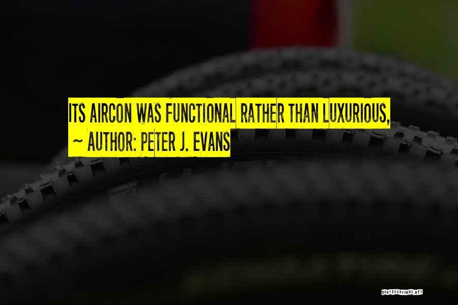 Aircon Quotes By Peter J. Evans