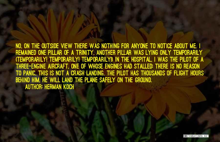 Aircraft Landing Quotes By Herman Koch