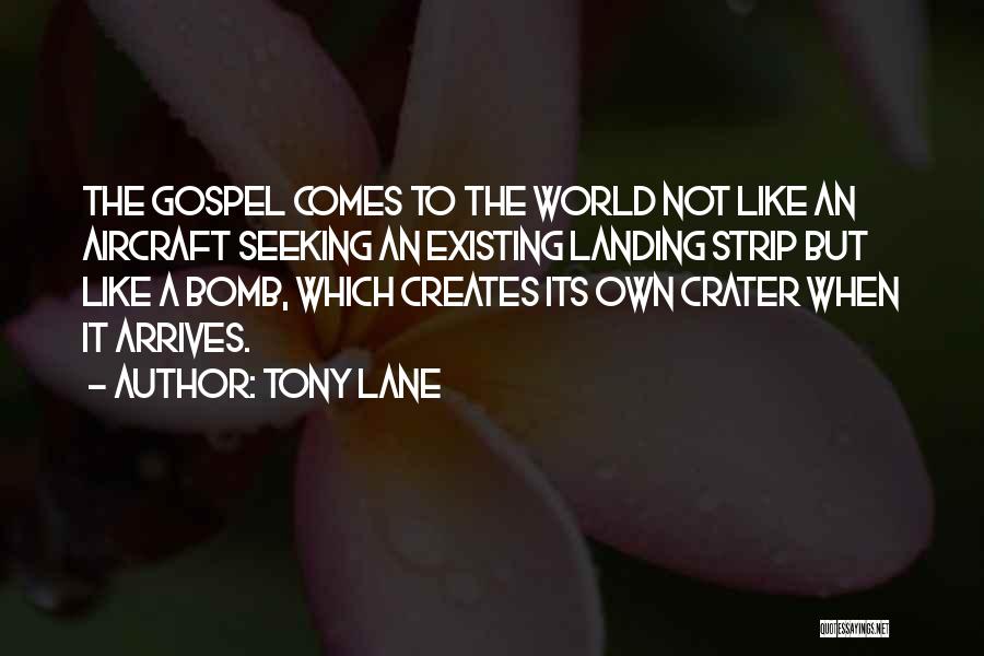 Aircraft Landing Quotes By Tony Lane