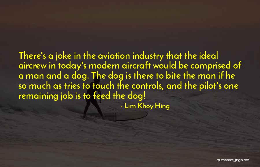 Aircraft Pilot Quotes By Lim Khoy Hing