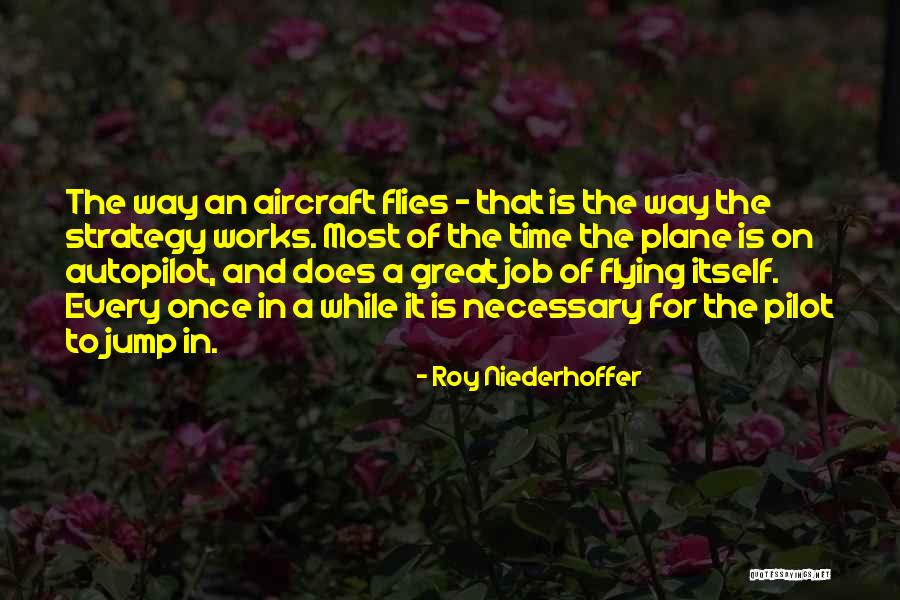 Aircraft Pilot Quotes By Roy Niederhoffer