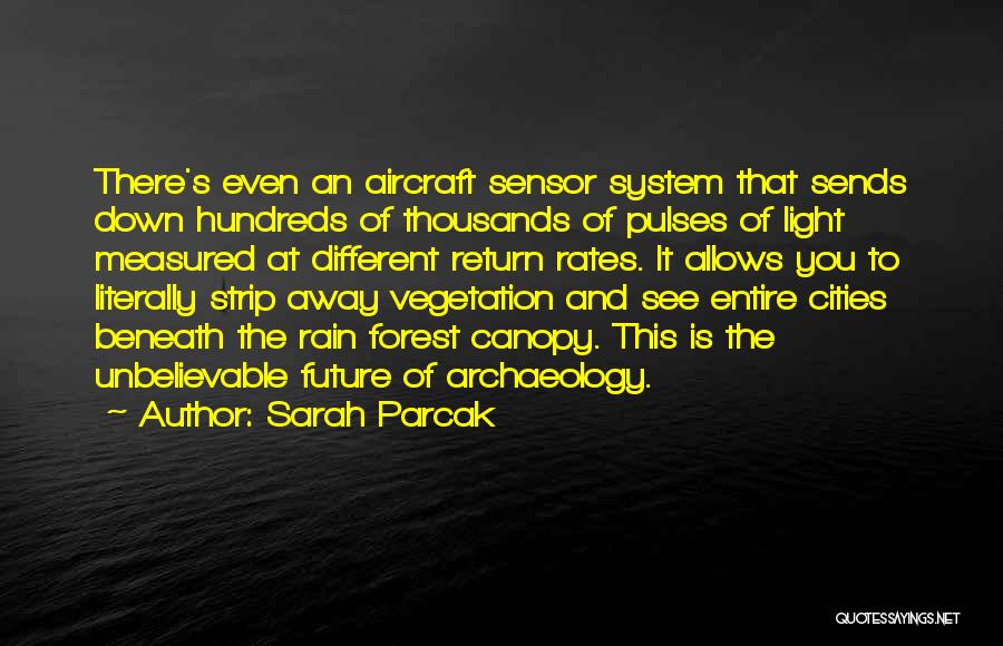 Aircraft Quotes By Sarah Parcak