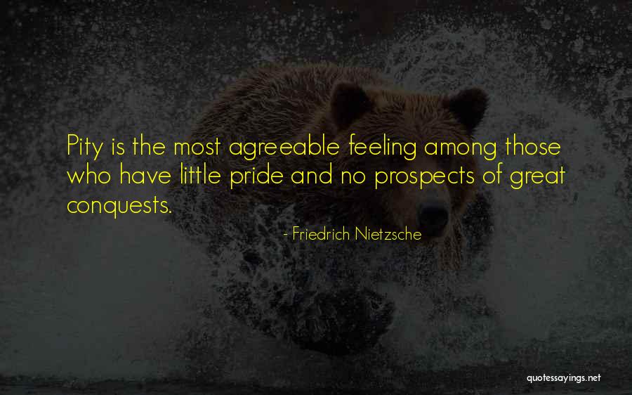 Airfoil Satellite Quotes By Friedrich Nietzsche