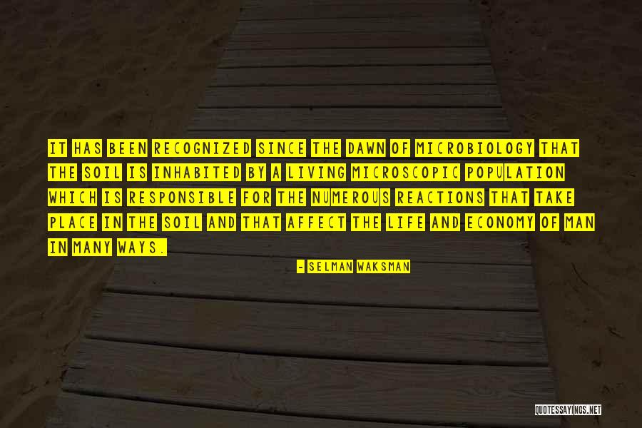 Airily Steps Quotes By Selman Waksman Airily Steps Quotes By Selman Waksman