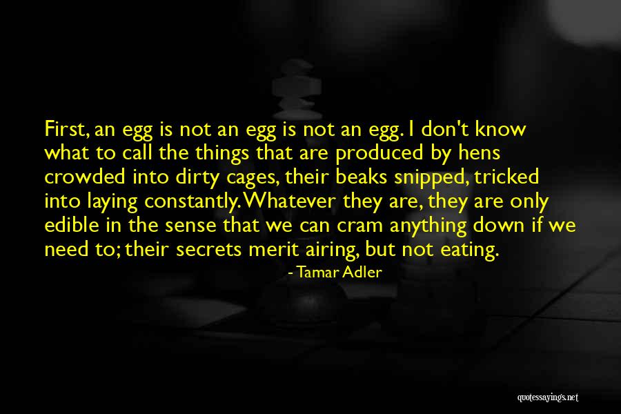 Airing Quotes By Tamar Adler Airing Quotes By Tamar Adler