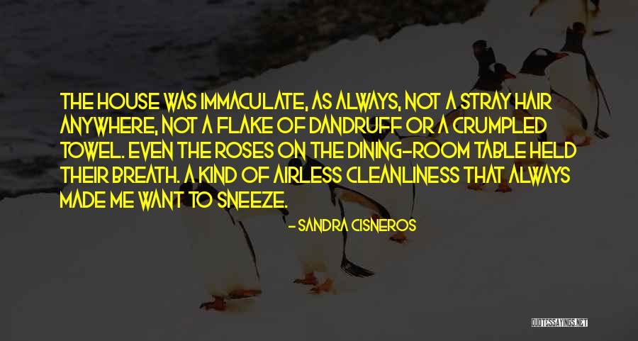 Airless Quotes By Sandra Cisneros Airless Quotes By Sandra Cisneros