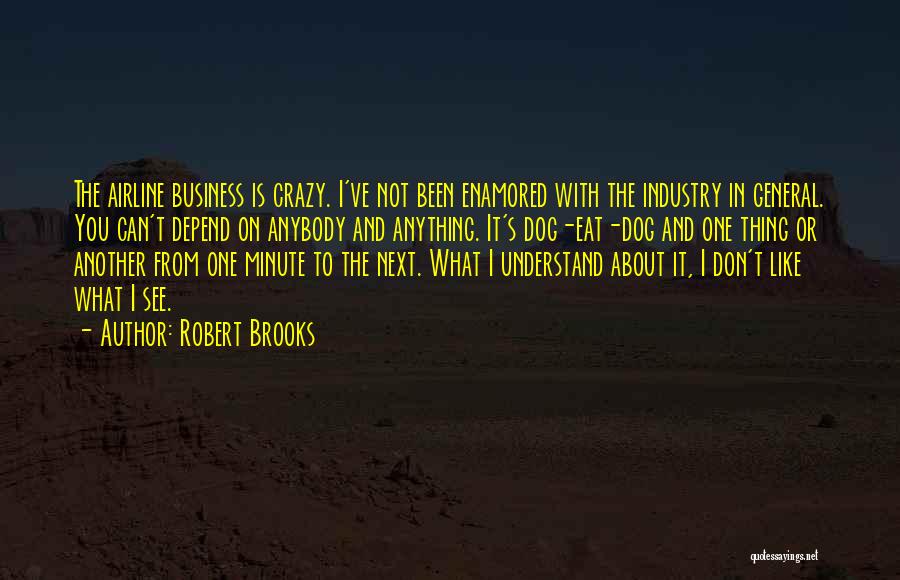 Airline Business Quotes By Robert Brooks