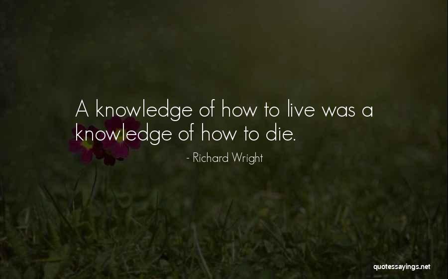 Airliner Iowa Quotes By Richard Wright Airliner Iowa Quotes By Richard Wright