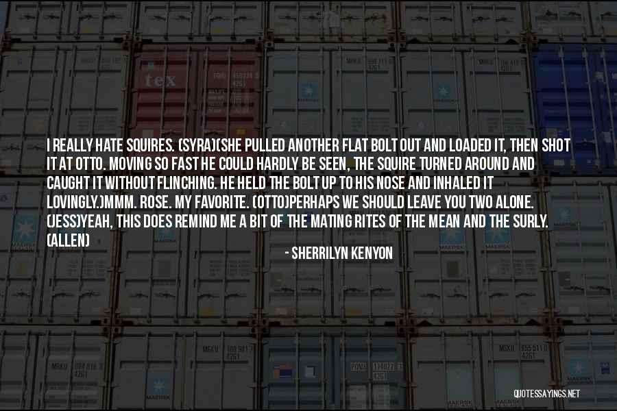 Airmans Information Quotes By Sherrilyn Kenyon Airmans Information Quotes By Sherrilyn Kenyon