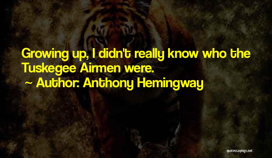 Airmen Quotes By Anthony Hemingway