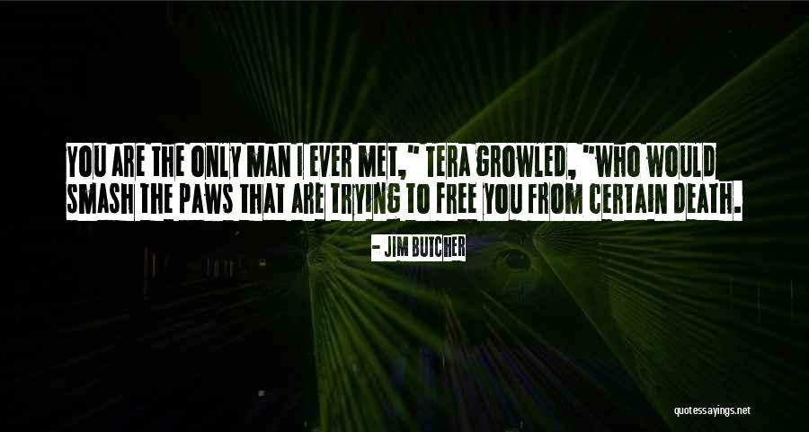 Airmust Quotes By Jim Butcher Airmust Quotes By Jim Butcher