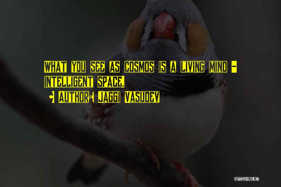 Airon Mallars Quotes By Jaggi Vasudev