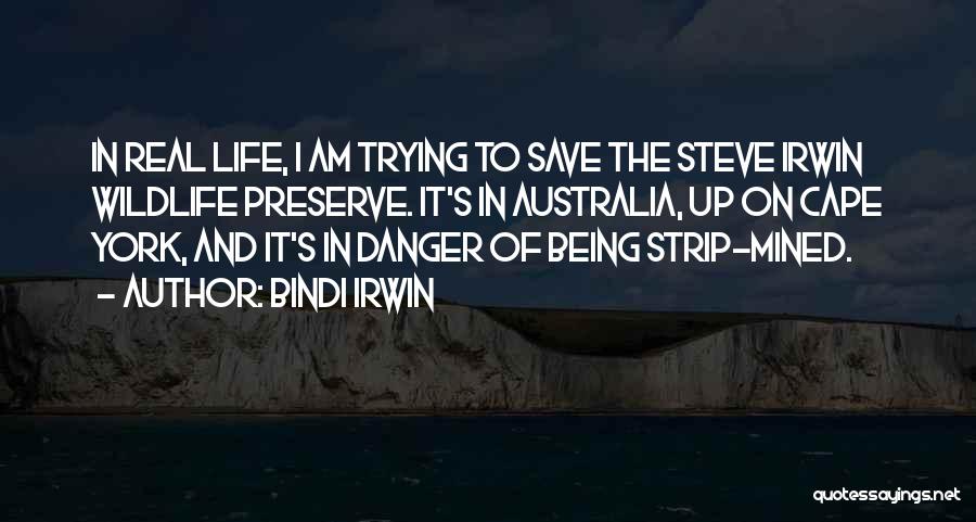 Airplaines Quotes By Bindi Irwin