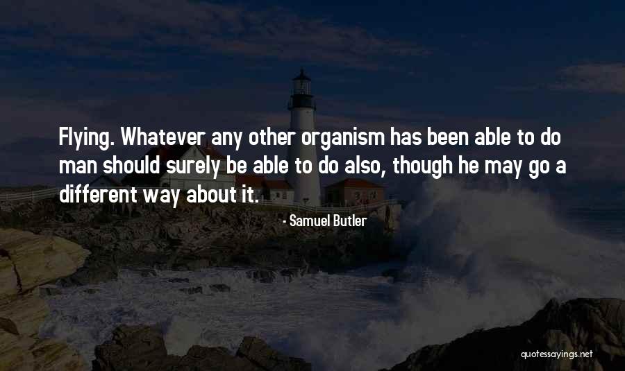 Airplane Flying Quotes By Samuel Butler Airplane Flying Quotes By Samuel Butler