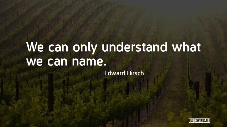 Airplane Landing Quotes By Edward Hirsch Airplane Landing Quotes By Edward Hirsch