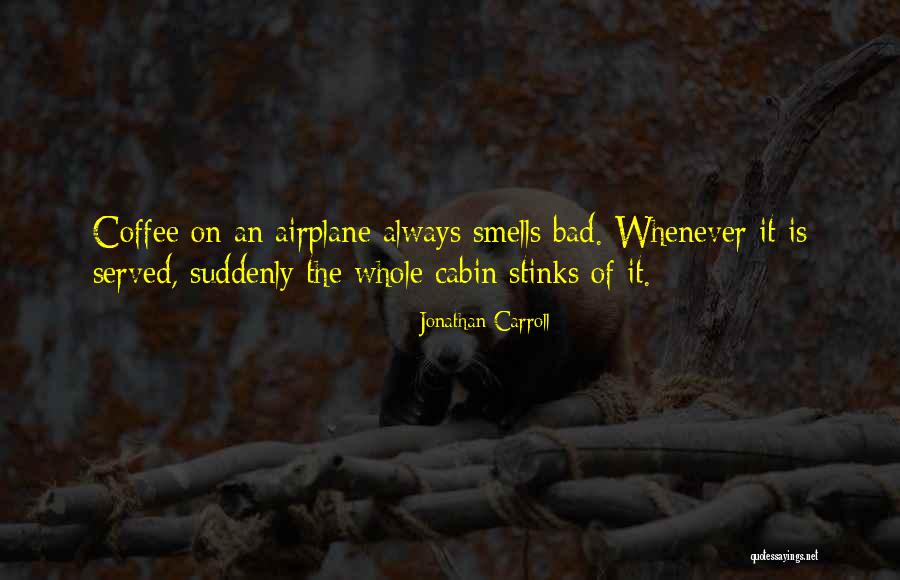 Airplane Quotes By Jonathan Carroll Airplane Quotes By Jonathan Carroll