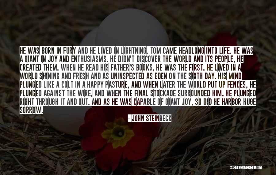 Airplanes In Life Quotes By John Steinbeck Airplanes In Life Quotes By John Steinbeck