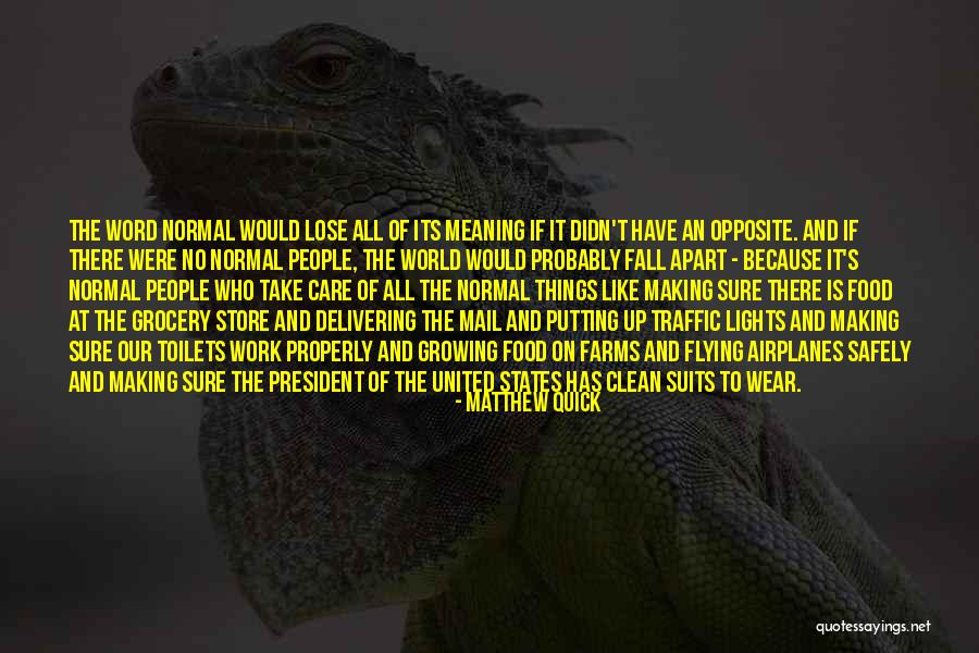 Airplanes In Life Quotes By Matthew Quick Airplanes In Life Quotes By Matthew Quick