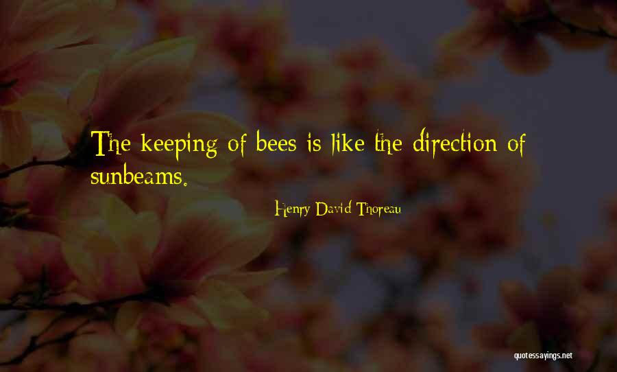 Airport 07 Quotes By Henry David Thoreau