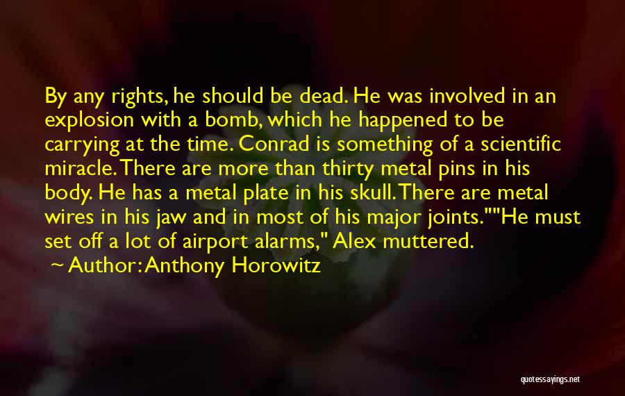 Airport Security Quotes By Anthony Horowitz