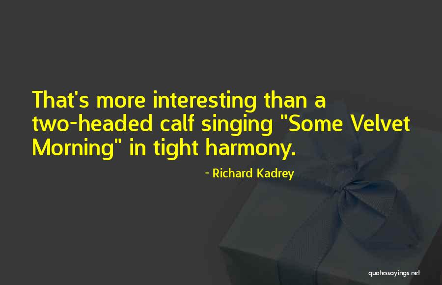Airstrip For Sale Quotes By Richard Kadrey Airstrip For Sale Quotes By Richard Kadrey