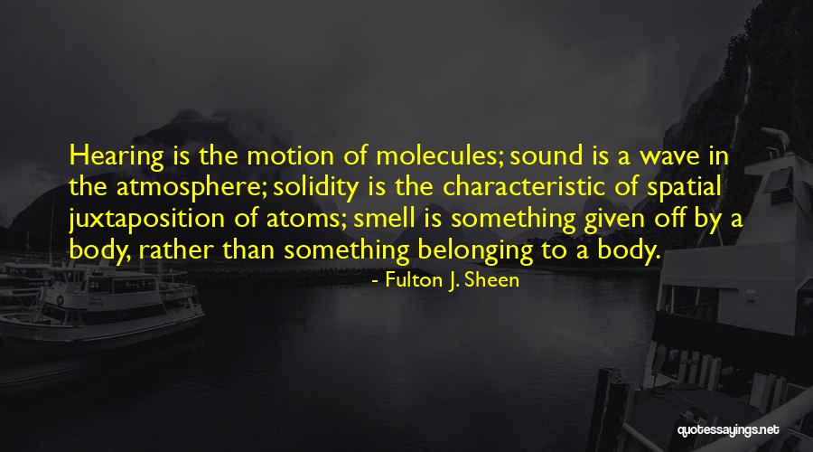 Airstrips For Sale Quotes By Fulton J. Sheen Airstrips For Sale Quotes By Fulton J. Sheen