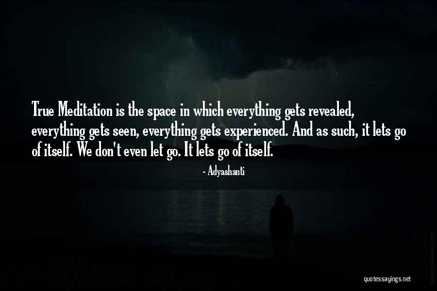Airway Quotes By Adyashanti Airway Quotes By Adyashanti