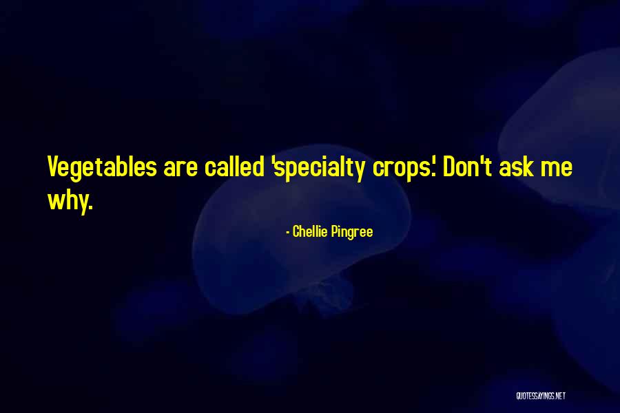 Airweight Quotes By Chellie Pingree Airweight Quotes By Chellie Pingree