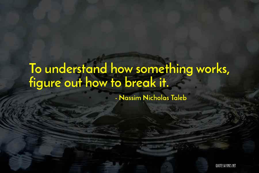 Aiurea Dex Quotes By Nassim Nicholas Taleb