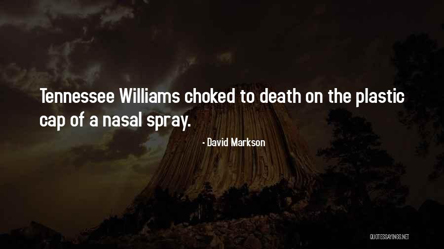 Aiyanna Lewis Quotes By David Markson Aiyanna Lewis Quotes By David Markson