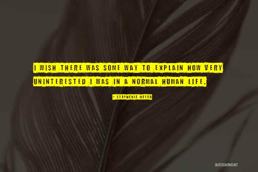 Aizoun Abdelkader Quotes By Stephenie Meyer Aizoun Abdelkader Quotes By Stephenie Meyer