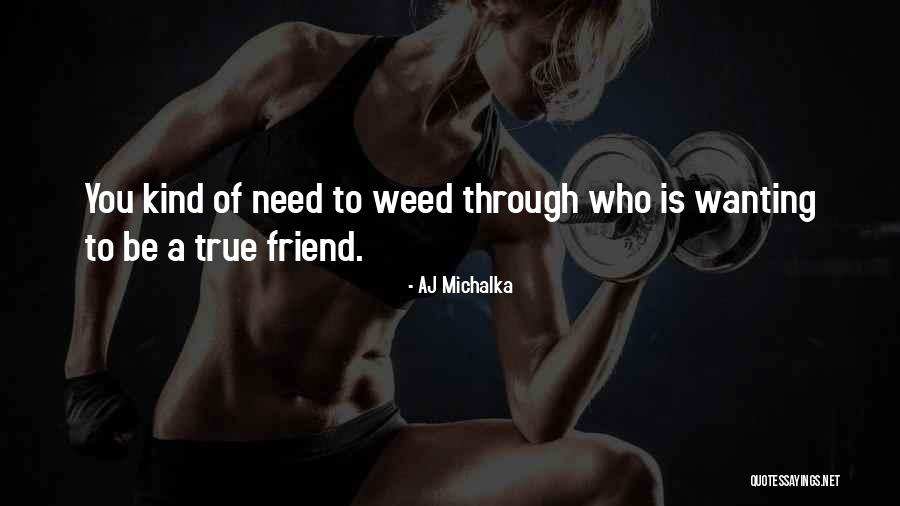 AJ Michalka Quotes 1121608 AJ Michalka Quotes 1121608