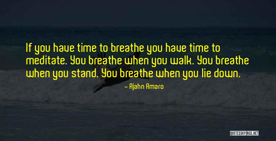 Ajahn Amaro Quotes 2098129 Ajahn Amaro Quotes 2098129