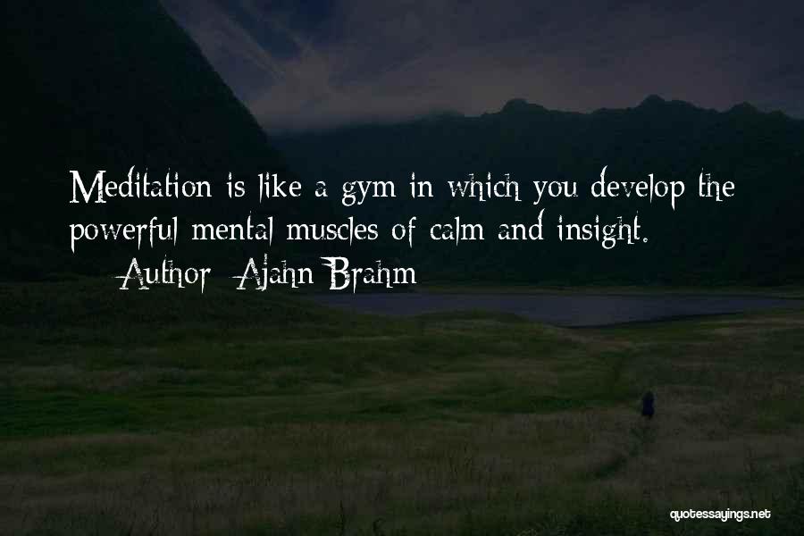 Ajahn Brahm Quotes 1528673