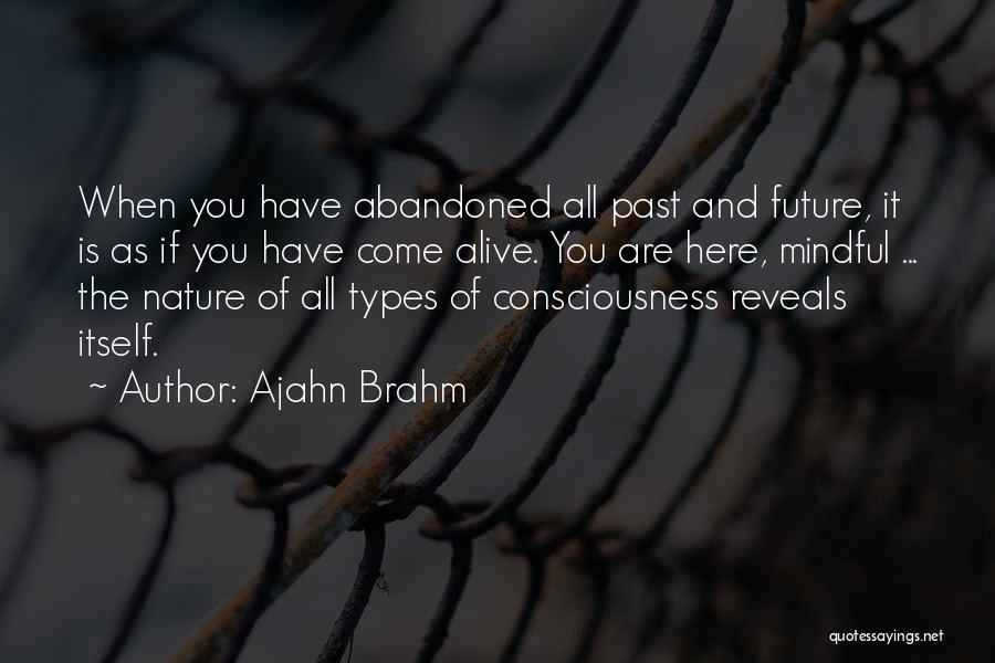 Ajahn Brahm Quotes 2076413